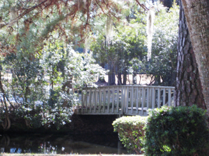 hilton head real estate