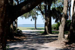 hilton head real estate