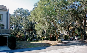hilton head real estate