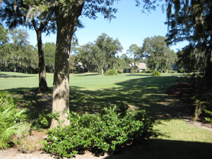 hilton head real estate