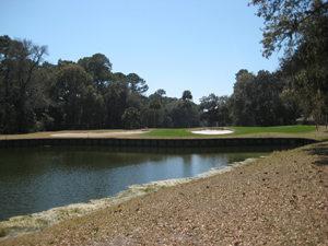 hilton head real estate