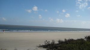hilton head real estate